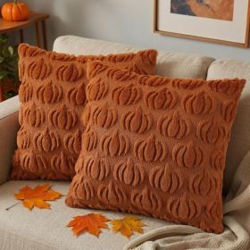 Light Rust Pumpkin Throw Pillow Covers 18x18 Set Of 2 (Option: Light Rust)